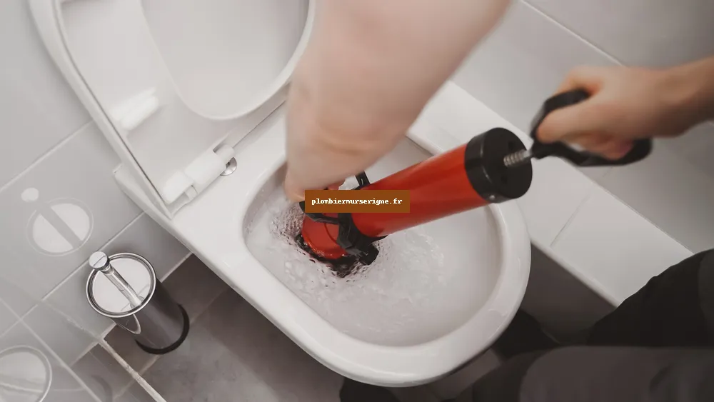 Plombier Mûrs-Erigné 49610