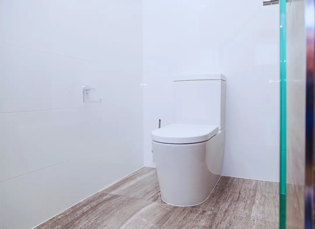 Remplacement de wc Mûrs-Erigné